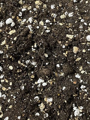 Soil