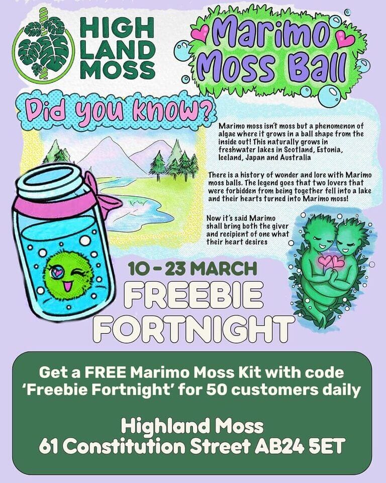 Highland Moss promotional flyer for Marimo moss balls event with engaging visuals and free kits.
