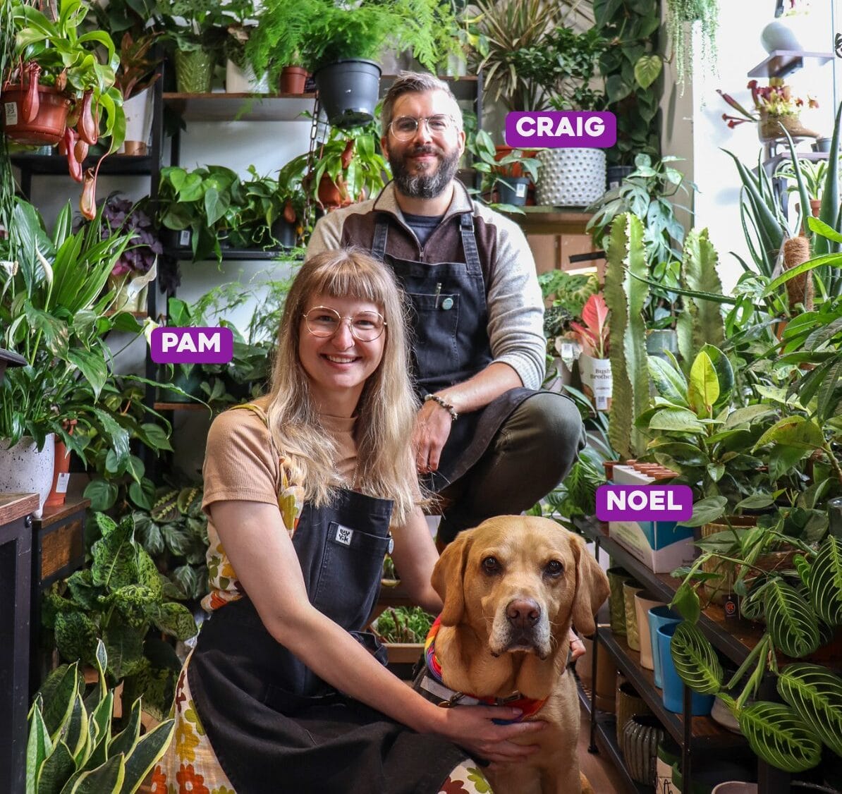 Pam and Craig in lush plant shop with dog Noel, celebrating nature indoors.